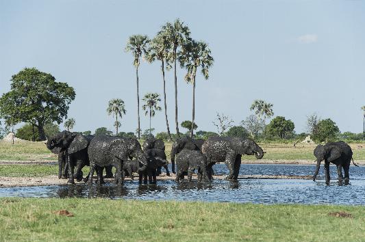 Splendours of Zimbabwe Thumbnail